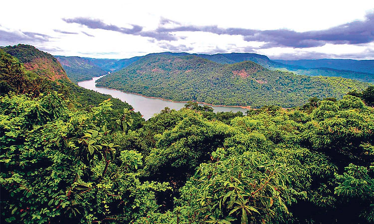 ಪಶ್ಚಿಮ ಘಟ್ಟ ಉಳಿದರೆ ಕರಾವಳಿ-ಮಲೆನಾಡು ಉಳಿಯುತ್ತದೆ
