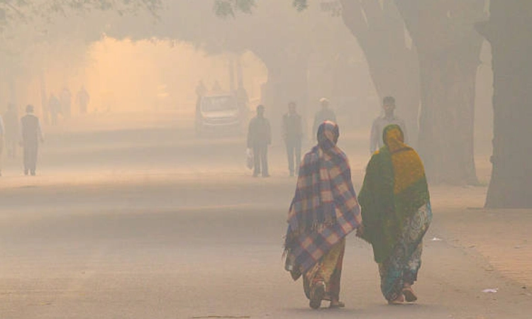 Delhi records most polluted monsoon period in seven years: CREA analysis