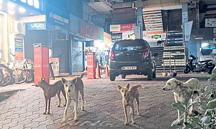 Kasaragod: ವಾರದಲ್ಲಿ ಸ್ಥಳೀಯಾಡಳಿತ ಸಂಸ್ಥೆಗಳ ಅನುದಾನ ?