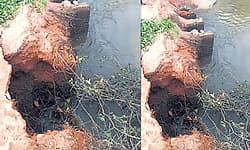 Hemmadi: ಜಾಲಾಡಿ; ವೆಂಟೆಡ್‌ ಡ್ಯಾಂ ಒಡೆದು ಗದ್ದೆಗೆ ಉಪ್ಪು ನೀರು ದಾಂಗುಡಿ