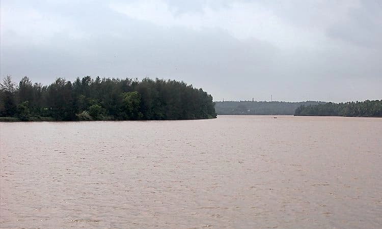 Sullia: ಪಯಸ್ವಿನಿ ನದಿಯಲ್ಲಿ ಪ್ರಾಣಿಯ ಎಲುಬು ಪತ್ತೆ