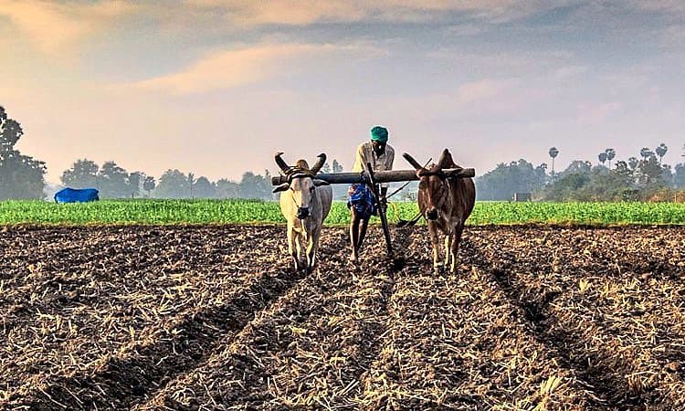 ಇಂದು ರಾಷ್ಟ್ರೀಯ ರೈತ ದಿನ: ರೈತ ಕಲ್ಯಾಣ ಯೋಜನೆಗಳು ಸುಧಾರಣೆ ಕಾಣಲಿ