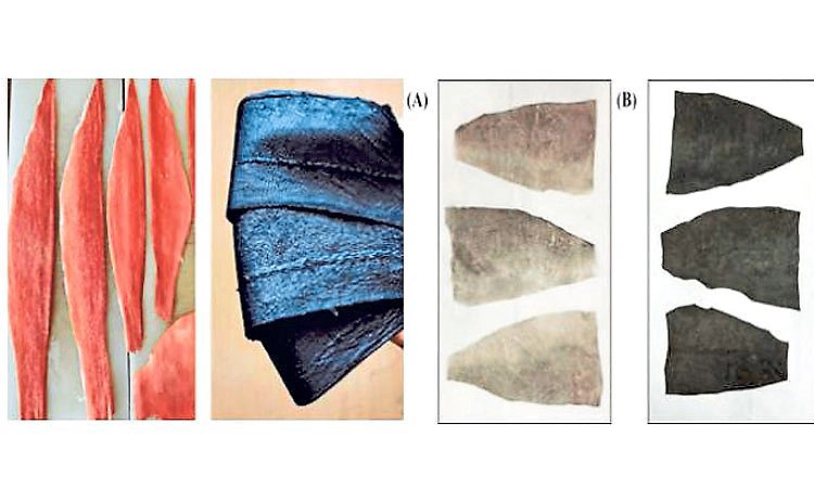 ಮೀನಿನ ಚರ್ಮದಿಂದ ಕೀ ಚೈನ್‌, ಪರ್ಸ್‌!