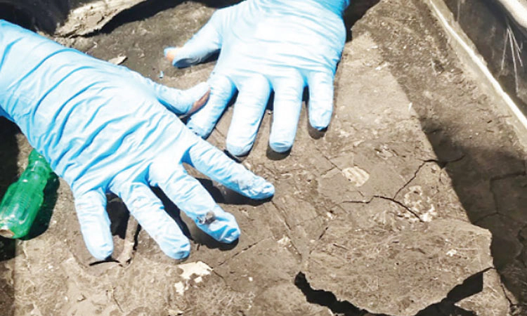 ಕೆಂಪೇಗೌಡ ವಿಮಾನ ನಿಲ್ದಾಣದಲ್ಲಿ 38.6 ಕೋಟಿ ರೂ. ಮೌಲ್ಯದ ಡ್ರಗ್ಸ್ ಜಪ್ತಿ