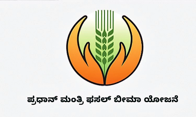 Karkala; ಬೆಳೆ ವಿಮಾ ಯೋಜನೆ: 244 ರೈತರಿಗೆ ಮಾತ್ರ ಬಾಕಿ