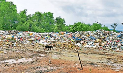 Kinnigoli: ತ್ಯಾಜ್ಯ ವಿಲೇವಾರಿಗೆ ನೂರಾರು ಕಿರಿಕಿರಿ