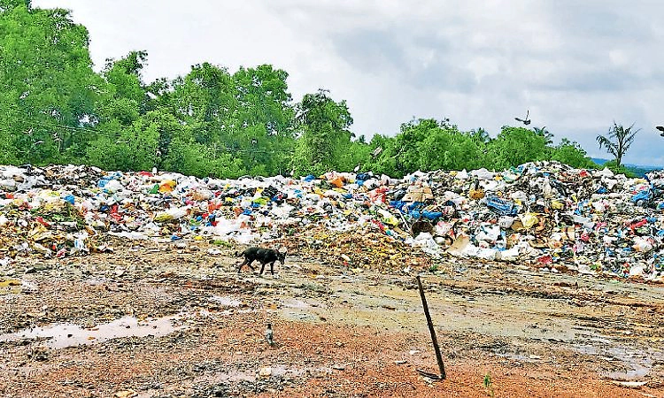 Kinnigoli: ತ್ಯಾಜ್ಯ ವಿಲೇವಾರಿಗೆ ನೂರಾರು ಕಿರಿಕಿರಿ