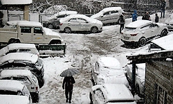 Shimla: ಮನಾಲಿ ಈಗ 'ಶ್ವೇತ ಸುಂದರಿ': ಭಾರಿ ಹಿಮಪಾತಕ್ಕೆ ಪ್ರವಾಸಿಗರು ಫಿದಾ!