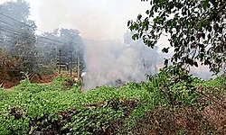 Sulya: ಗುಡ್ಡಕ್ಕೆ ಬೆಂಕಿ: ಕಾರ್ಯಾಚರಣೆ