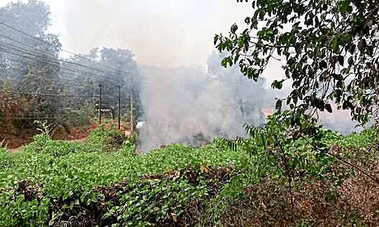 Sulya: ಗುಡ್ಡಕ್ಕೆ ಬೆಂಕಿ: ಕಾರ್ಯಾಚರಣೆ