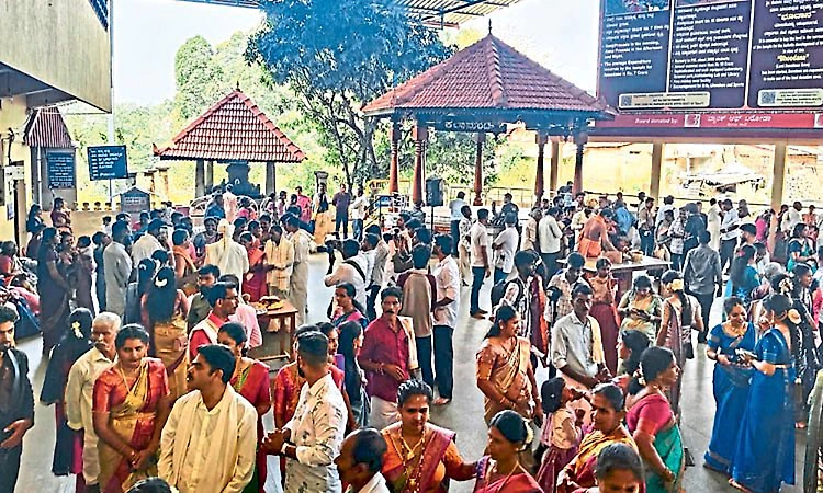 35 couples tie the knot in simple ceremony at Kateel temple