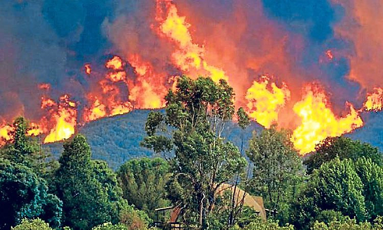 ಬೆಟ್ಟಕ್ಕೆ ಕಿಚ್ಚು ಹಚ್ಚುವ ಹುಚ್ಚು ಮನಸುಗಳು