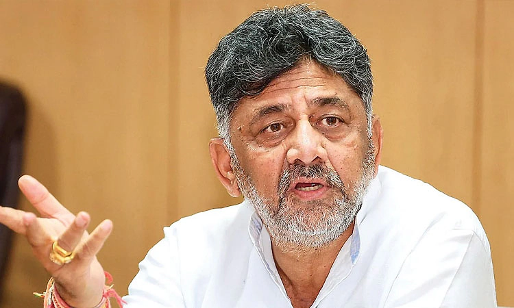 ದೆಹಲಿಗೆ ನಾನು ಹೋಗದೆ ಮತ್ತ್ಯಾರು ಹೋಗ್ತಾರೆ?: ಡಿಸಿಎಂ ಡಿ.ಕೆ.ಶಿವಕುಮಾರ್‌