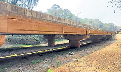 Puttur: ಪೆರಿಯಶಾಂತಿ: ಆನೆದಾಟು ಸಿದ್ಧ