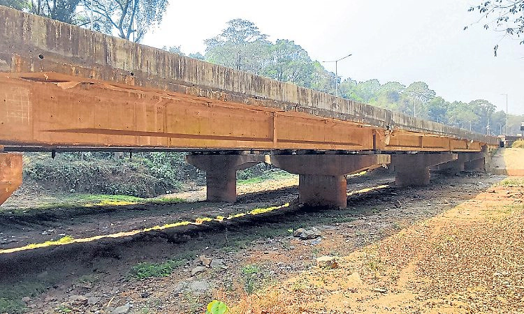 Puttur: ಪೆರಿಯಶಾಂತಿ: ಆನೆದಾಟು ಸಿದ್ಧ