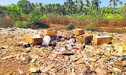 Byndoor : ಶಿರೂರನ್ನು ಕಾಡುತ್ತಿದೆ ಕಸ ವಿಲೇವಾರಿ ಸಮಸ್ಯೆ