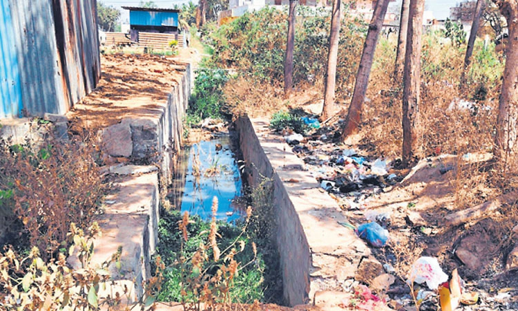 ದೇವನಾಯಕನಹಳ್ಳಿ: ಚರಂಡಿಗಳ ತುಂಬೆಲ್ಲಾ ಕಸ!