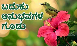 Experiences: ಬದುಕು ಅನುಭವಗಳ ಗೂಡು