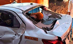 ಚಲಿಸುತ್ತಿರುವ ಕಾರಿನ ಮೇಲೆ ಬಿದ್ದ ಮರ  