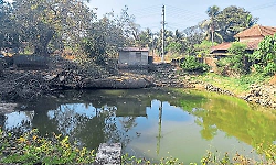 Kenchenakere facing threat of extinction: Need for rejuvenation