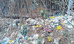 Garbage piles up at Malpe fishing harbour, raises health concerns