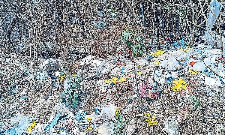 Garbage piles up at Malpe fishing harbour, raises health concerns