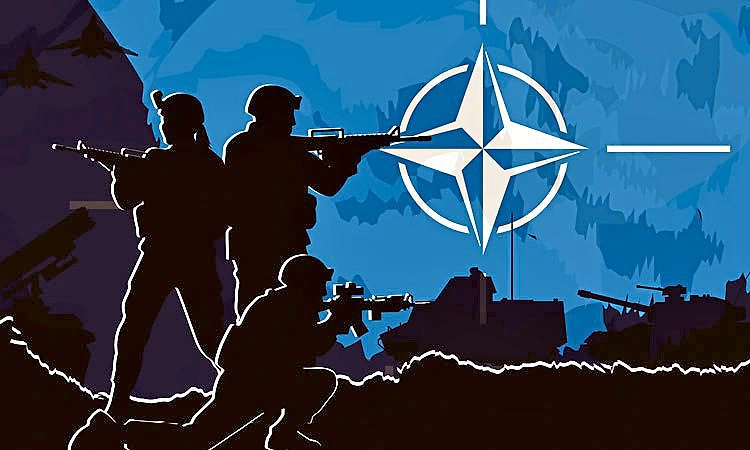 ಇರಾನ್‌ ಯುದ್ಧಕ್ಕೆ ನ್ಯಾಟೋ ಹಿಂದೇಟು? ಹೇಡಿ ರಾಷ್ಟ್ರಗಳು ಎಂದು ಜರೆದ ಅಮೆರಿಕ ಅಧ್ಯಕ್ಷ ಟ್ರಂಪ್