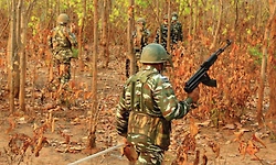 Jharkhand: ರಹಸ್ಯ ಕಾರ್ಯಾಚರಣೆ: 8 ಟಿಎಸ್ಪಿಸಿ ನಕ್ಸಲರ ಸೆರೆ; ಮಾರಕಾಸ್ತ್ರ, ರೈಫಲ್ ವಶಕ್ಕೆ