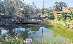 ಬತ್ತದ ಕೆಂಚನಕೆರೆಗೆ ಅಳಿವಿನ ಭೀತಿ: ಸಿಗಲಿ ಕಾಯಕಲ್ಪ