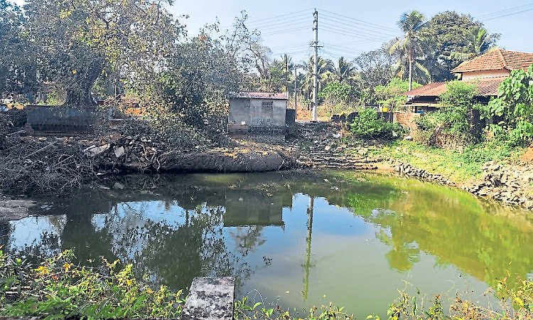 ಬತ್ತದ ಕೆಂಚನಕೆರೆಗೆ ಅಳಿವಿನ ಭೀತಿ: ಸಿಗಲಿ ಕಾಯಕಲ್ಪ