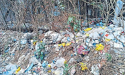 Malpe ಬಂದರು ಪರಿಸರದಲ್ಲಿ ಕಸದ ರಾಶಿ!