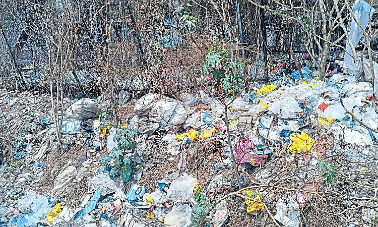 Malpe ಬಂದರು ಪರಿಸರದಲ್ಲಿ ಕಸದ ರಾಶಿ!