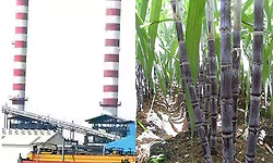 ದರ ಆಯ್ತು, ಈಗ ಬಾಕಿಗೆ ಕಬ್ಬು ರೈತರ ಹೋರಾಟ