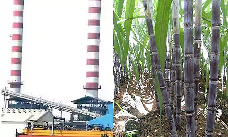 ದರ ಆಯ್ತು, ಈಗ ಬಾಕಿಗೆ ಕಬ್ಬು ರೈತರ ಹೋರಾಟ