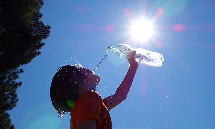 Warning: Hot and humid conditions likely in coastal Karnataka for next 5 days, IMD issues yellow alert