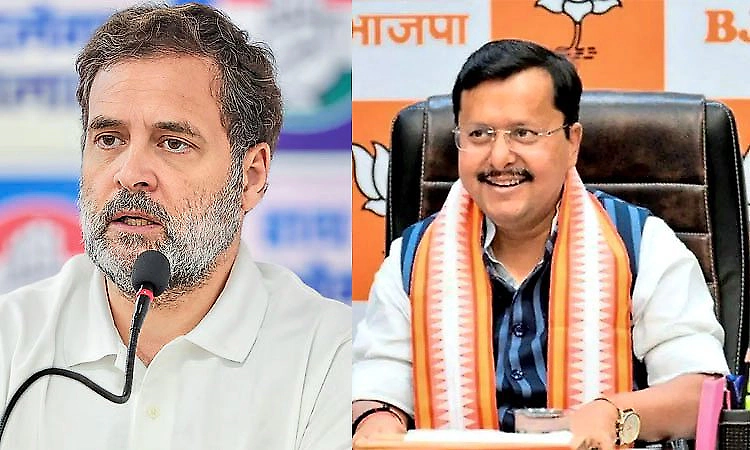 Rahul immature politician, works with anarchist mindset: BJP chief Nitin Nabin