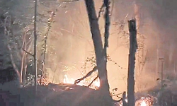 Fires threaten Biodiversity at Jnanabharathi Biopark; environmentalists raise concern