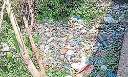 Bajpe: ತ್ಯಾಜ್ಯ ಡಬ್ಬವಾಗಿರುವ ರಾಜ ಕಾಲುವೆ!