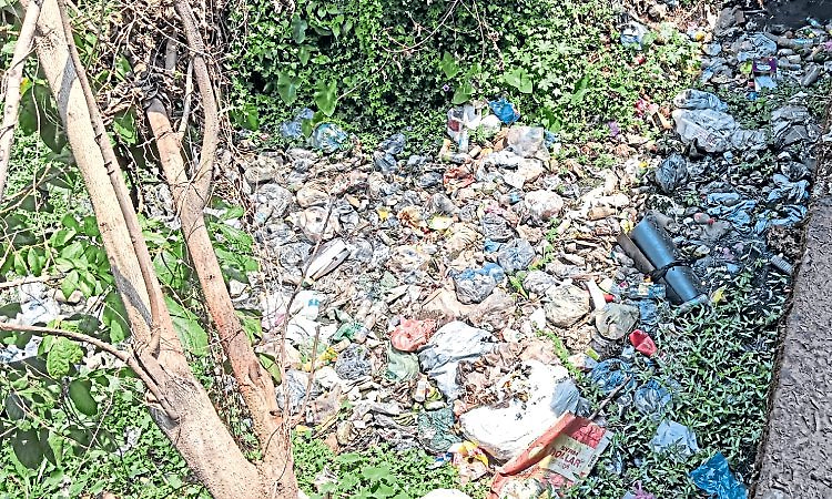 Bajpe: ತ್ಯಾಜ್ಯ ಡಬ್ಬವಾಗಿರುವ ರಾಜ ಕಾಲುವೆ!