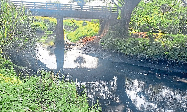ಮೂಡುಬೆಟ್ಟು ವಾರ್ಡ್‌ಗೆ ಶಾಪವಾದ ಇಂದ್ರಾಣಿ!