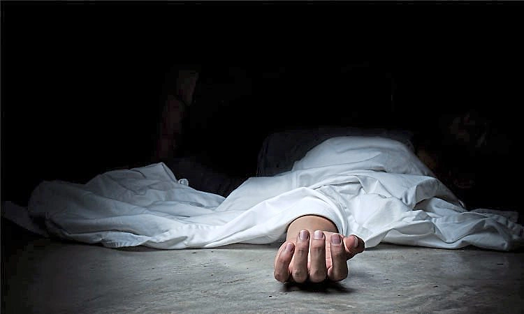 ಚಿಕ್ಕಬಳ್ಳಾಪುರ: ಹೆಜ್ಜೇನು ದಾಳಿ, ವ್ಯಕ್ತಿ ಮರದಲ್ಲಿ ಸಾವು  