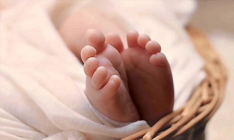 Mysore: ಆಸ್ಪತ್ರೆಯಲ್ಲಿ ಇರುವೆ ಕಚ್ಚಿ ಶಿಶು ಸಾವು  