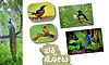 Birds: ಪಕ್ಷಿ ನೋಟ