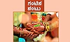 Wedding: ಗಂಟಿನ ನಂಟು : ಭೂಮಿಯ ಮೇಲೆ ಜರಗಿದರೂ ಸ್ವರ್ಗದಲ್ಲಿ ನಿಶ್ಚಯ...