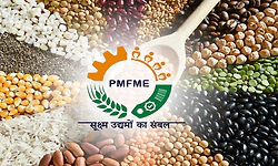 Karnataka has over 10,500 micro food enterprises under PMFME scheme: KAPPEC MD Shiva Prakash