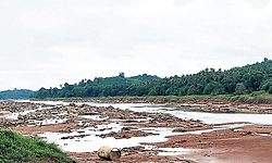 ಕರಾವಳಿಯಲ್ಲಿ ಮಳೆ ಕೊರತೆ: ನದಿಗಳಲ್ಲಿ ಜಲಮಟ್ಟ ಇಳಿಕೆ; ಮಳೆಗಾಲದಲ್ಲೇ ಎಲ್ಲ ಗೇಟ್‌ ಬಂದ್