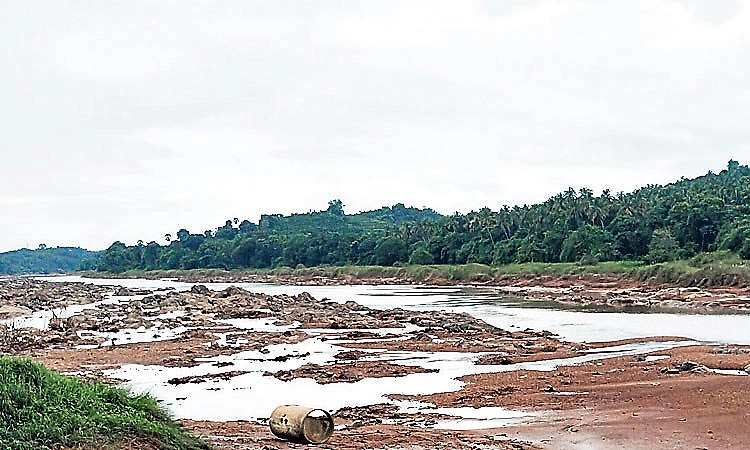 ಕರಾವಳಿಯಲ್ಲಿ ಮಳೆ ಕೊರತೆ: ನದಿಗಳಲ್ಲಿ ಜಲಮಟ್ಟ ಇಳಿಕೆ; ಮಳೆಗಾಲದಲ್ಲೇ ಎಲ್ಲ ಗೇಟ್‌ ಬಂದ್