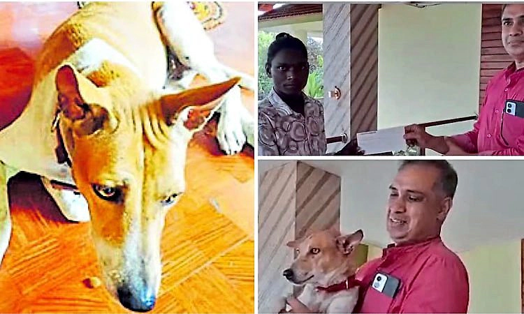 Kabaka: ಸಾಕುನಾಯಿ ಪತ್ತೆ ಮಾಡಿದ ವ್ಯಕ್ತಿಗೆ 50 ಸಾ. ರೂ. ಹಸ್ತಾಂತರ