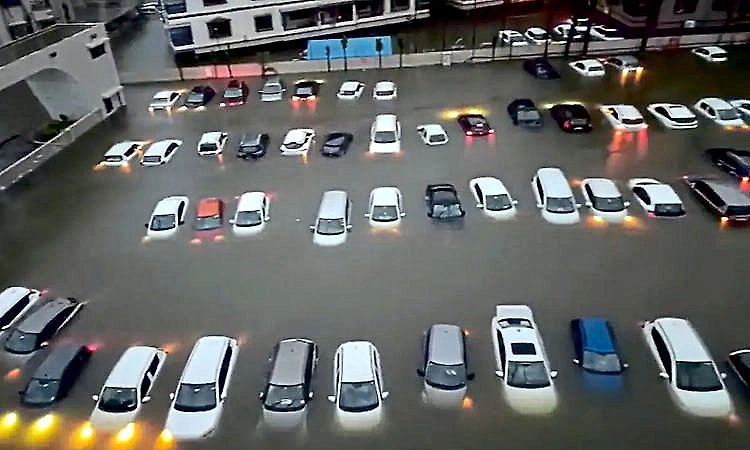 Video: Over 50 cars submerged as torrential rain floods Gujarat's Valsad