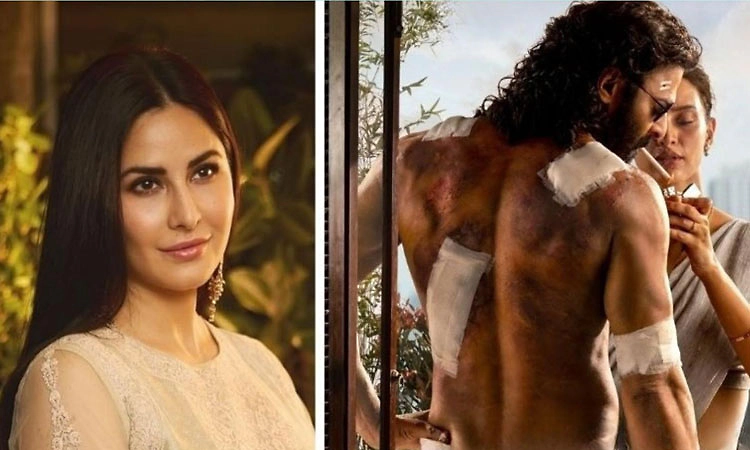 BUZZ: ಡಾರ್ಲಿಂಗ್‌ ಪ್ರಭಾಸ್‌ ಸಿನಿಮಾದಲ್ಲಿ ಬಾಲಿವುಡ್‌ ಬ್ಯೂಟಿ ಕತ್ರೀನಾ ಕೈಫ್?‌